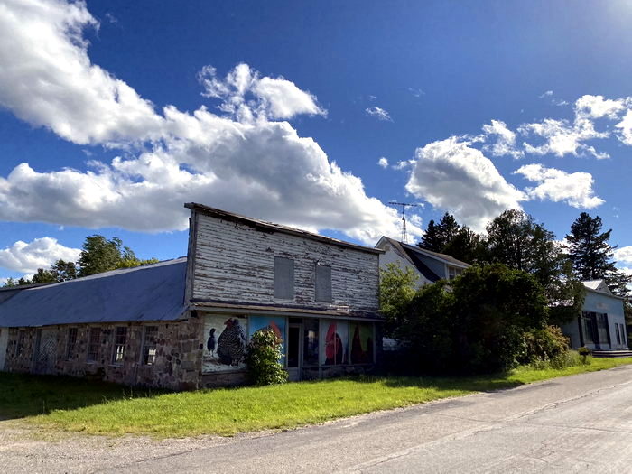 Spruce  - June 17 2022 Photo (newer photo)